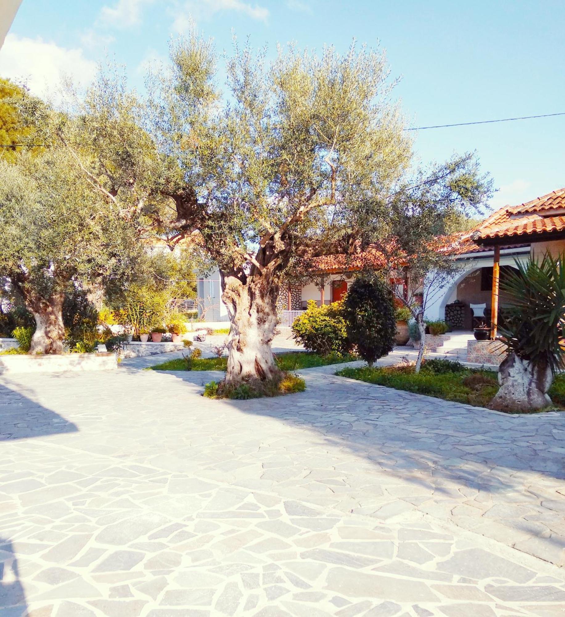 Lägenhet Irini Alykes (Zakynthos)