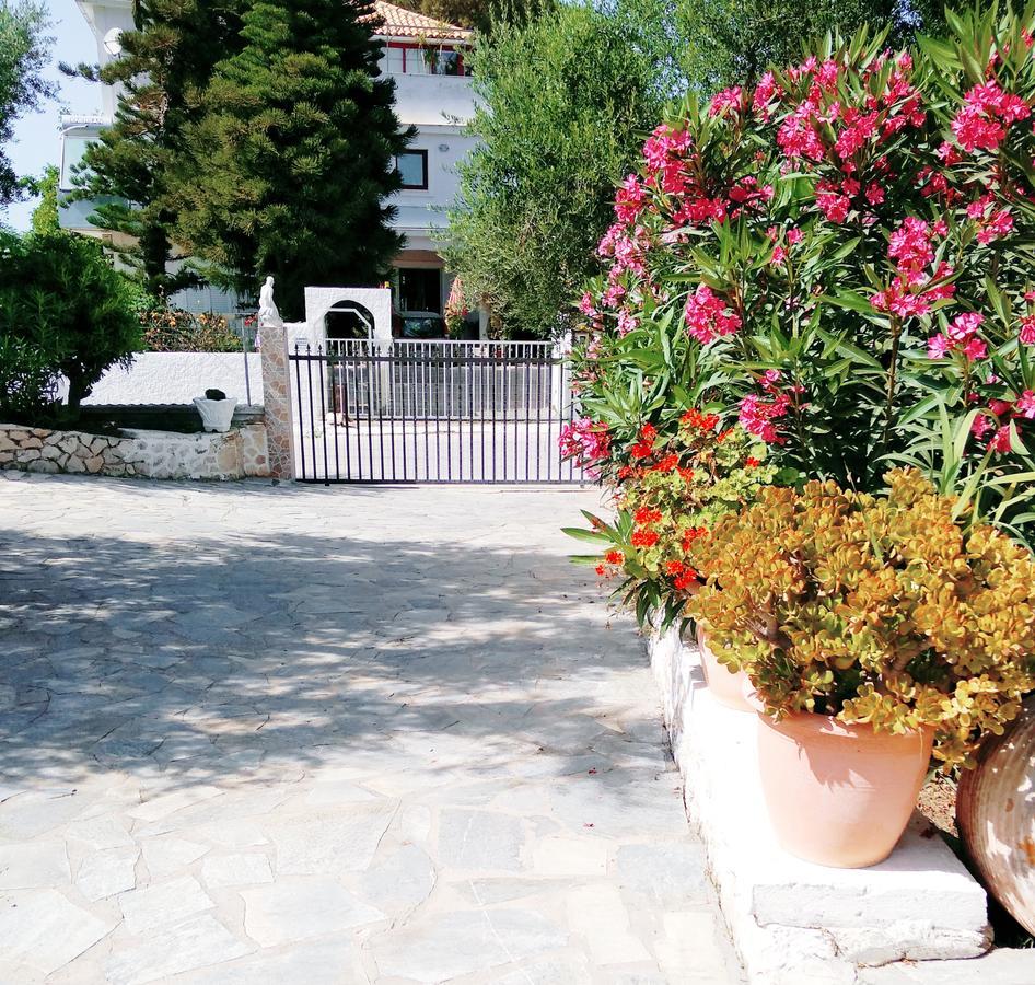 Lägenhet Irini Alykes (Zakynthos)